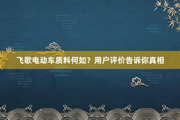 飞歌电动车质料何如?用户评价告诉你真相